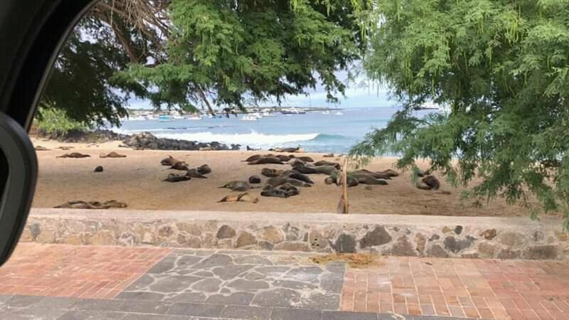 Hostal Albatros San Cristóbal Ngoại thất bức ảnh